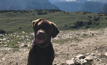 Rufus.DreiZinnen