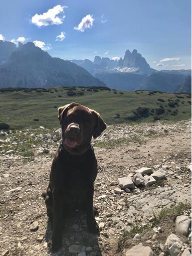 Rufus.DreiZinnen