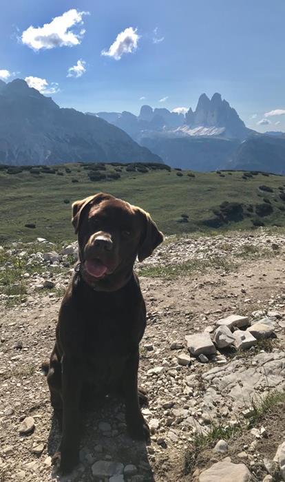 Rufus.DreiZinnen