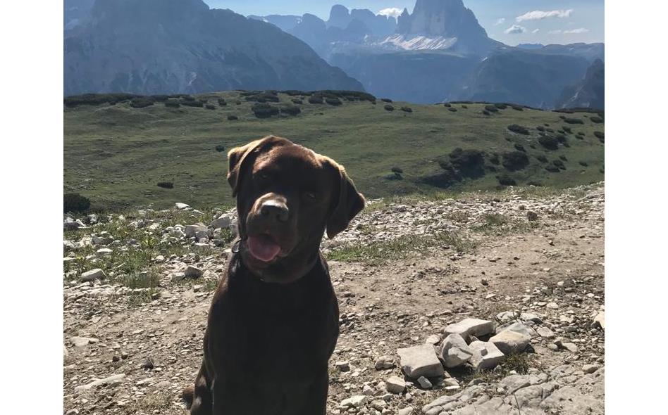 Rufus.DreiZinnen