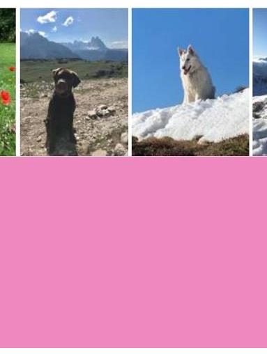 molly-rufus[2]