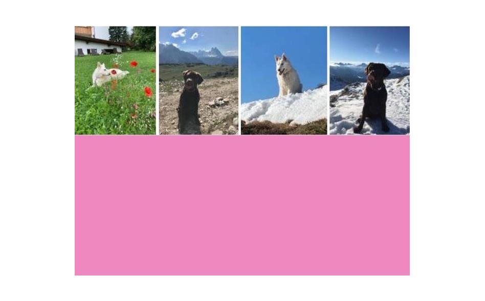 molly-rufus[2]